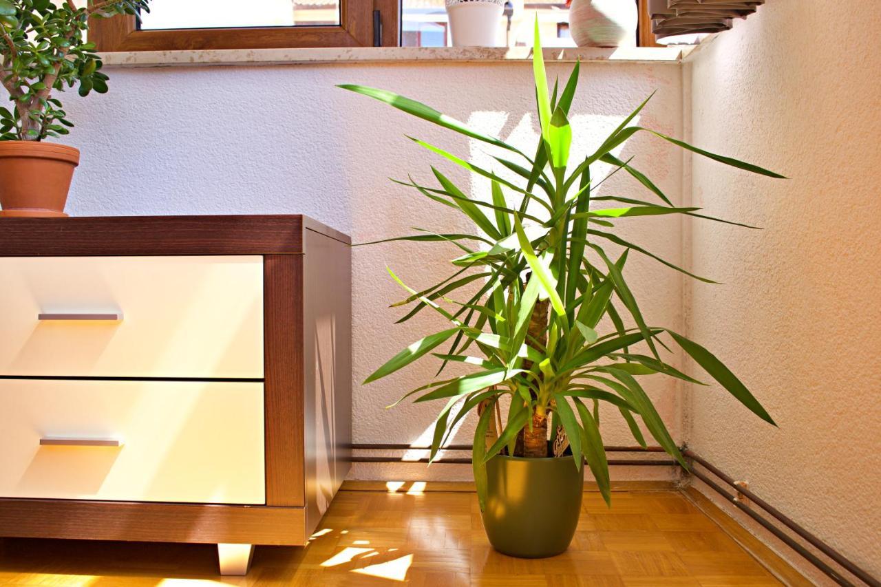 Apartments Kanegra อูมัค ภายนอก รูปภาพ